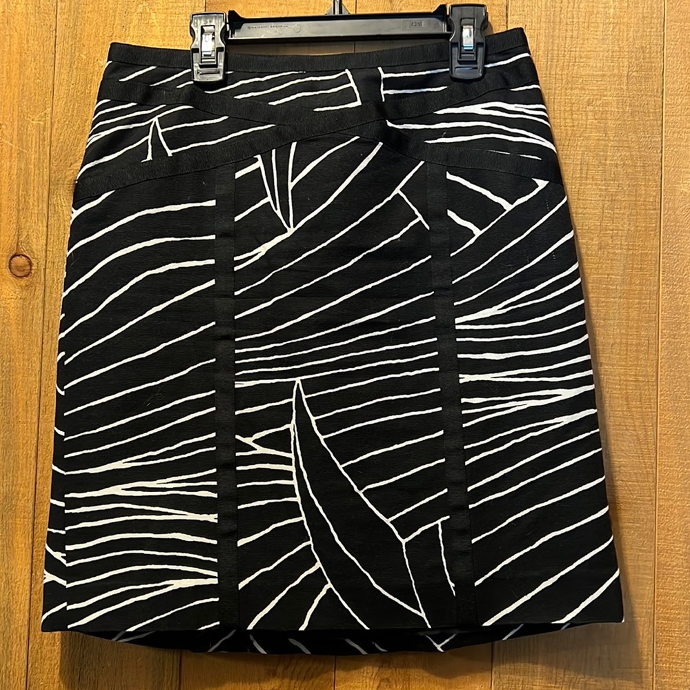 Ann Taylor skirt